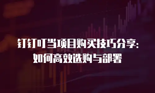 钉钉叮当项目购买技巧分享：如何高效选购与部署