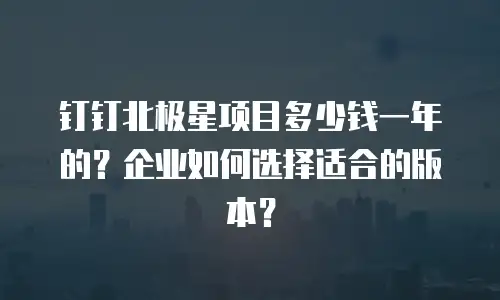 钉钉北极星项目多少钱一年的？企业如何选择适合的版本？