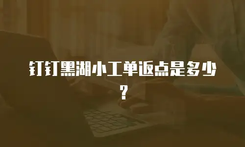钉钉黑湖小工单返点是多少？