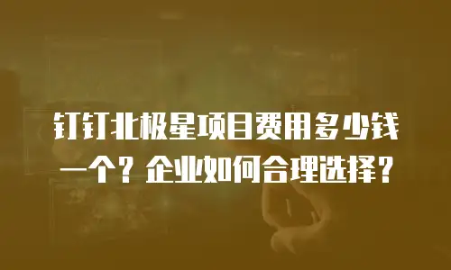 钉钉北极星项目费用多少钱一个？企业如何合理选择？
