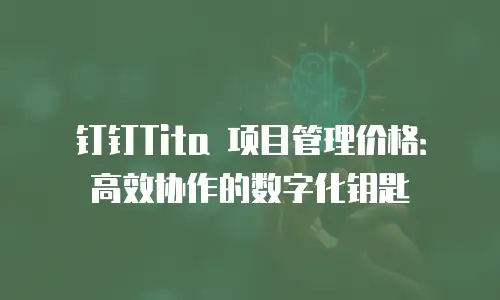 钉钉Tita 项目管理价格：高效协作的数字化钥匙