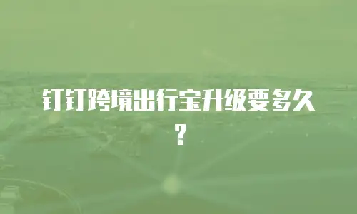 钉钉跨境出行宝升级要多久？