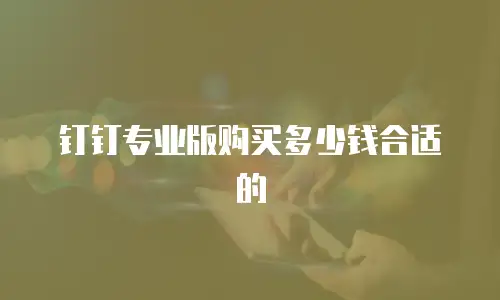 钉钉专业版购买多少钱合适的