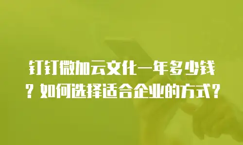 钉钉微加云文化一年多少钱？如何选择适合企业的方式？