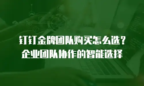 钉钉金牌团队购买怎么选？企业团队协作的智能选择