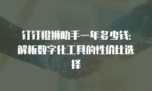 钉钉橙狮助手一年多少钱：解析数字化工具的性价比选择