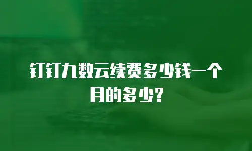 钉钉九数云续费多少钱一个月的多少？