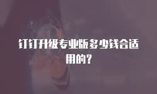 钉钉升级专业版多少钱合适用的？