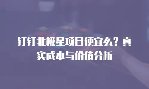钉钉北极星项目便宜么？真实成本与价值分析
