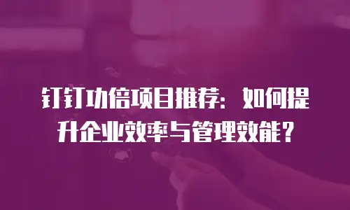 钉钉功倍项目推荐：如何提升企业效率与管理效能？