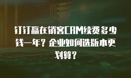 钉钉赢在销客CRM续费多少钱一年？企业如何选版本更划算？