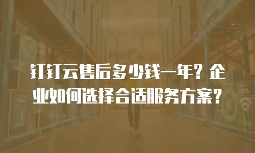 钉钉云售后多少钱一年？企业如何选择合适服务方案？