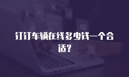 钉钉车辆在线多少钱一个合适？