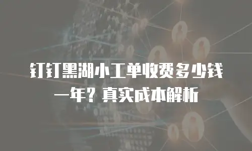 钉钉黑湖小工单收费多少钱一年？真实成本解析