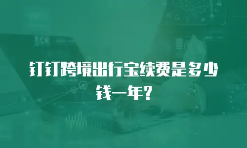 钉钉跨境出行宝续费是多少钱一年？