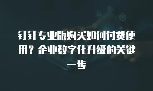 钉钉专业版购买如何付费使用？企业数字化升级的关键一步