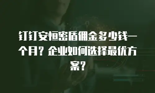 钉钉安恒密盾佣金多少钱一个月？企业如何选择最优方案？