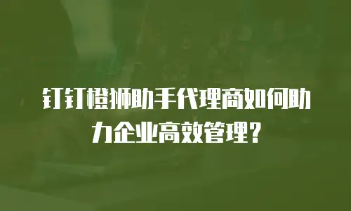钉钉橙狮助手代理商如何助力企业高效管理？