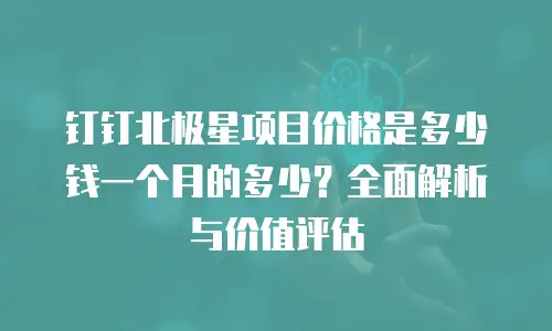 钉钉北极星项目价格是多少钱一个月的多少？全面解析与价值评估
