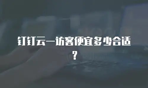 钉钉云一访客便宜多少合适？
