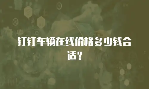 钉钉车辆在线价格多少钱合适？