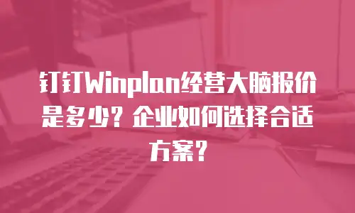 钉钉Winplan经营大脑报价是多少？企业如何选择合适方案？