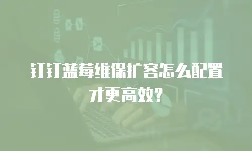 钉钉蓝莓维保扩容怎么配置才更高效？