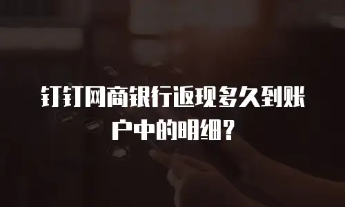 钉钉网商银行返现多久到账户中的明细？