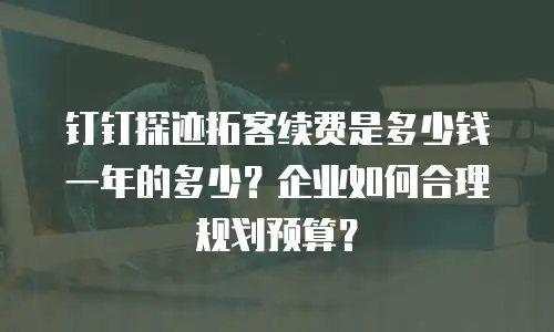 钉钉探迹拓客续费是多少钱一年的多少？企业如何合理规划预算？