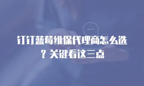 钉钉蓝莓维保代理商怎么选？关键看这三点