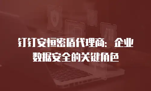 钉钉安恒密盾代理商：企业数据安全的关键角色
