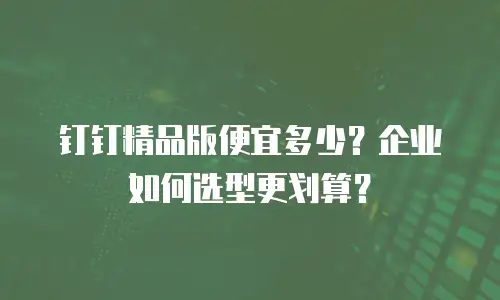 钉钉精品版便宜多少？企业如何选型更划算？