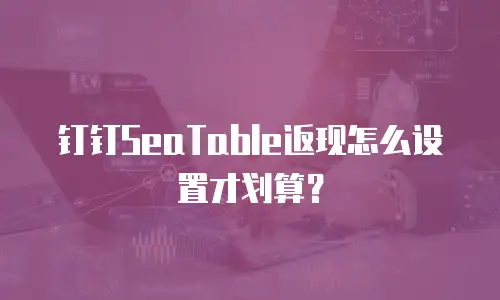 钉钉SeaTable返现怎么设置才划算？