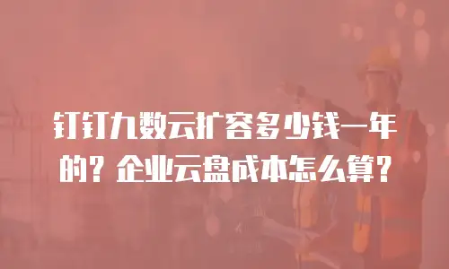 钉钉九数云扩容多少钱一年的？企业云盘成本怎么算？