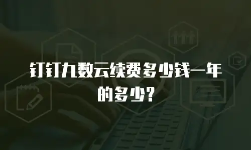 钉钉九数云续费多少钱一年的多少？