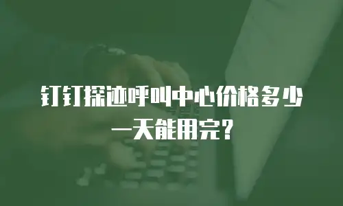 钉钉探迹呼叫中心价格多少一天能用完？