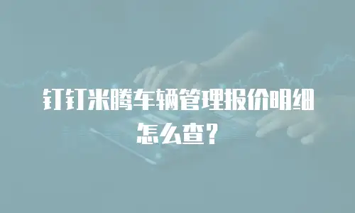 钉钉米腾车辆管理报价明细怎么查？