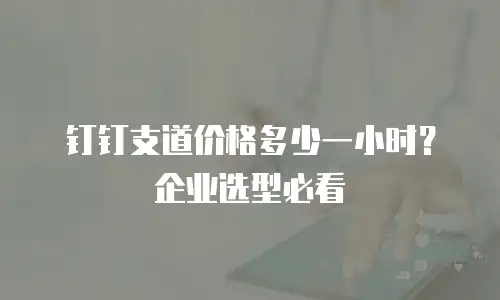 钉钉支道价格多少一小时？企业选型必看