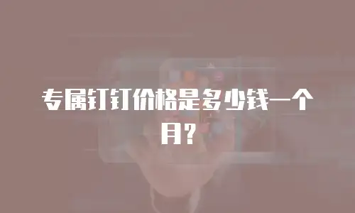 专属钉钉价格是多少钱一个月？