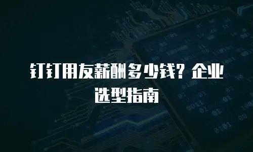 钉钉用友薪酬多少钱？企业选型指南