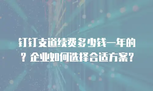 钉钉支道续费多少钱一年的？企业如何选择合适方案？