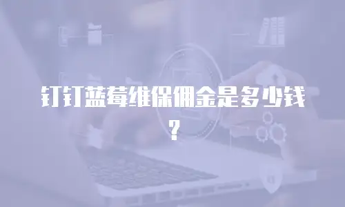 钉钉蓝莓维保佣金是多少钱？
