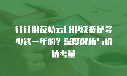 钉钉用友畅云ERP续费是多少钱一年的？深度解析与价值考量
