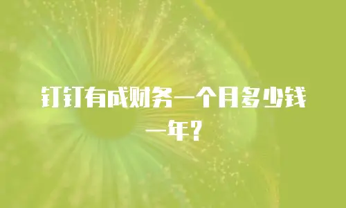 钉钉有成财务一个月多少钱一年？