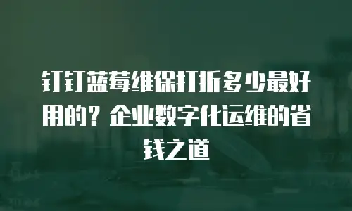 钉钉蓝莓维保打折多少最好用的？企业数字化运维的省钱之道