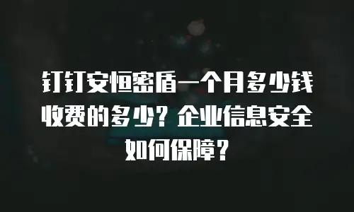 钉钉安恒密盾一个月多少钱收费的多少？企业信息安全如何保障？