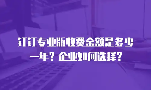 钉钉专业版收费金额是多少一年？企业如何选择？