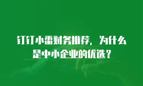 钉钉小番财务推荐，为什么是中小企业的优选？