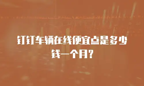 钉钉车辆在线便宜点是多少钱一个月？