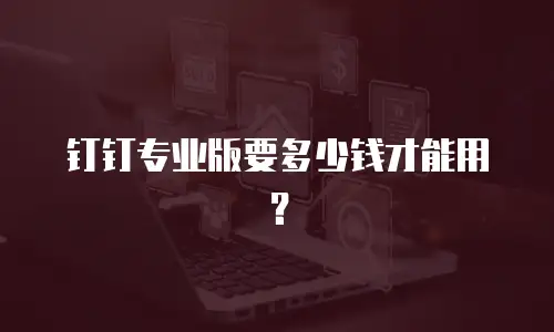 钉钉专业版要多少钱才能用？